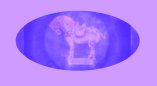 01151004_lefton_china_-_george_zolton_lefton001010.jpg