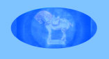 01151004_lefton_china_-_george_zolton_lefton001011.jpg