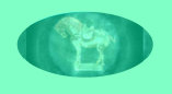 01151004_lefton_china_-_george_zolton_lefton001012.jpg